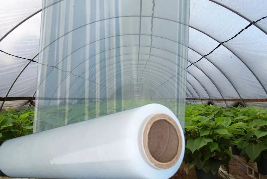 Какой должна быть плёнка для теплиц