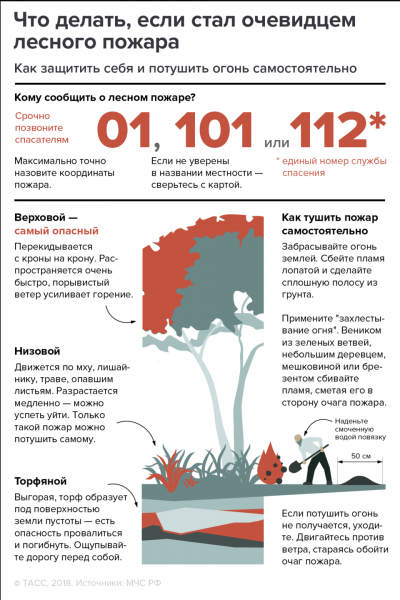 Прямой ущерб от лесных пожаров в Якутии превысил 1 млрд рублей