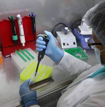 РБК: привитые от коронавируса могут заразиться гамма-штаммом