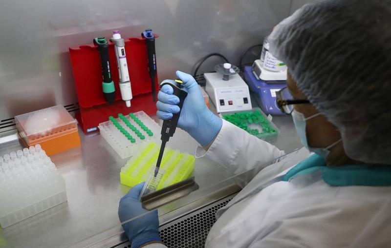 РБК: привитые от коронавируса могут заразиться гамма-штаммом

