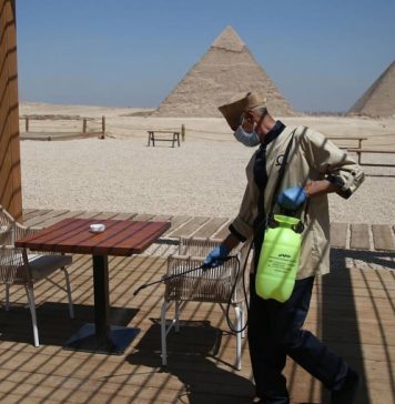 Россия направит в Египет группу экспертов для оценки эпидситуации