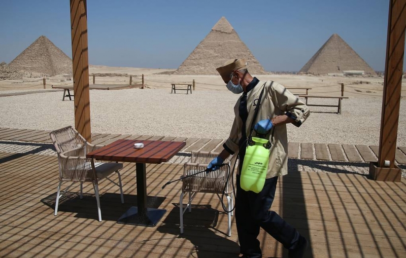 Россия направит в Египет группу экспертов для оценки эпидситуации

