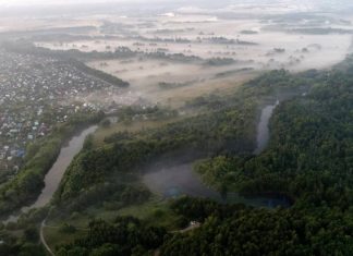 В Минприроды заявили, что о приватизации лесов в России не может идти речи