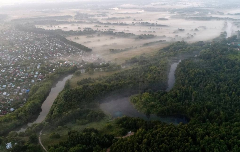 В Минприроды заявили, что о приватизации лесов в России не может идти речи