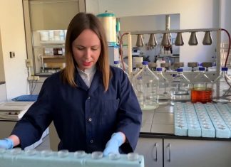 Исследования специалистов «Агротеста»