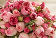 Доставка цветов в Тбилиси