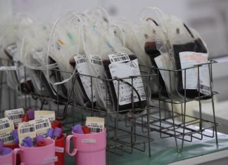 ФМБА опровергло информацию о дефиците в России донорской крови и ее компонентов