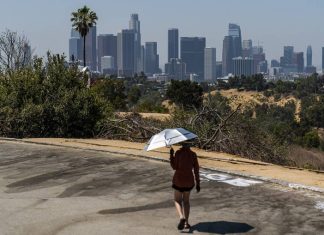 Июль стал самым жарким месяцем в мире за всю историю наблюдений