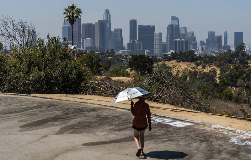 Июль стал самым жарким месяцем в мире за всю историю наблюдений
