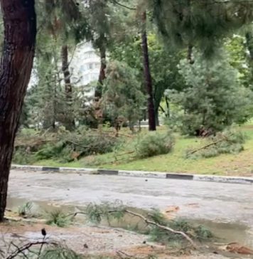 Из четырех лагерей в Краснодарском крае эвакуировали более 900 детей из-за подтоплений