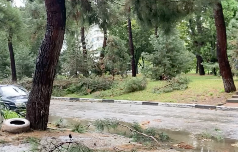 Из четырех лагерей в Краснодарском крае эвакуировали более 900 детей из-за подтоплений