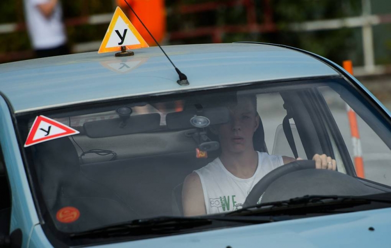 МВД хочет изменить экзаменационные билеты на теоретическом экзамене на права

