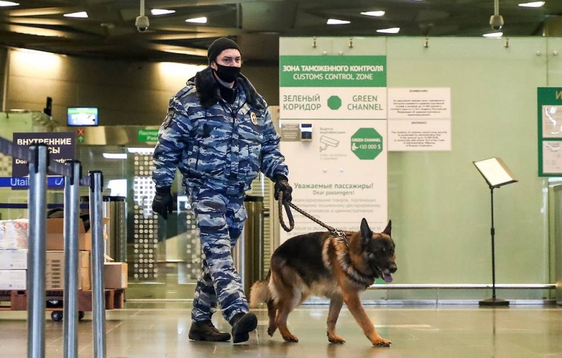 На борту самолета Москва - Геленджик не нашли взрывных устройств