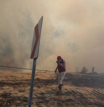 СМИ: связанная с РПК организация взяла на себя ответственность за поджоги лесов в Турции