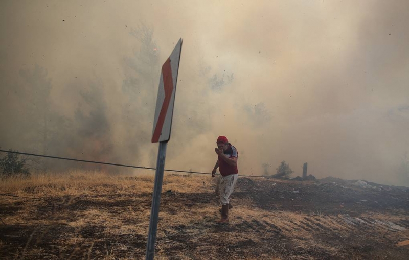 СМИ: связанная с РПК организация взяла на себя ответственность за поджоги лесов в Турции