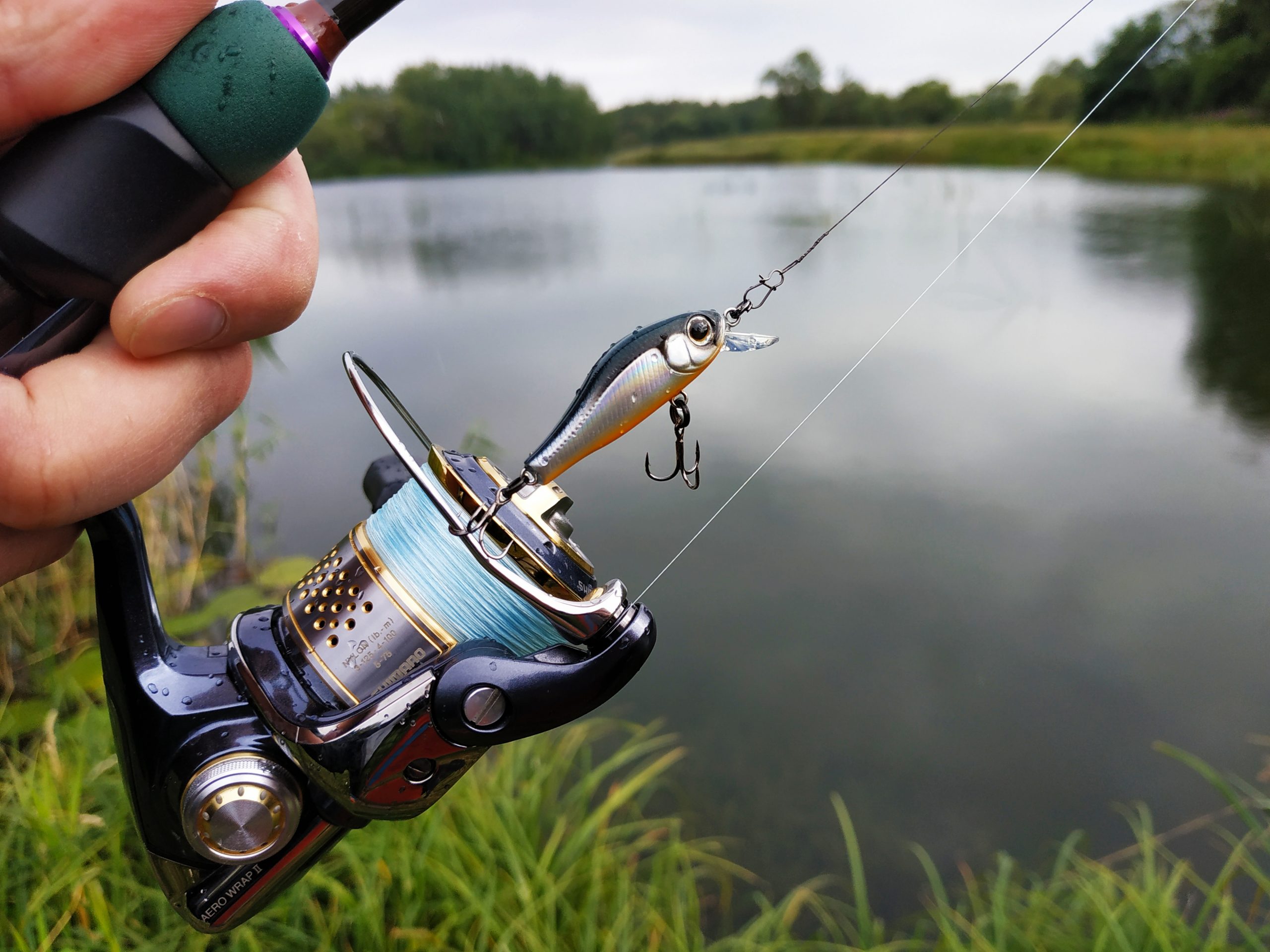 Какими бывают рыболовные приманки