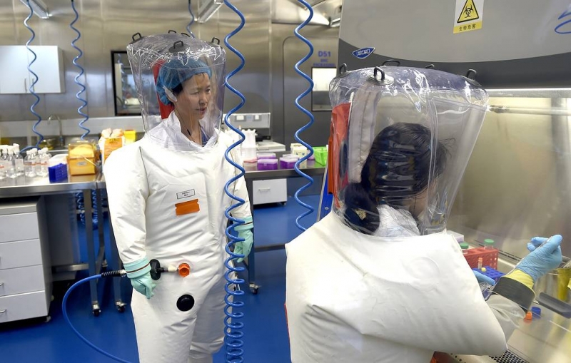 В Конгрессе США представили доклад об утечке коронавируса из лаборатории