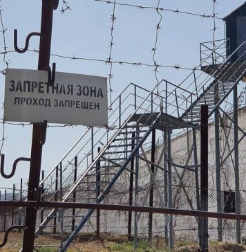 В Подмосковье задержали двоих заключенных, сбежавших из ИВС в Истре