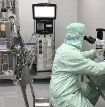 В ВОЗ не исключили обозначения новых штаммов коронавируса названиями созвездий