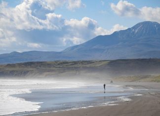 Япония сделала представление РФ из-за планов создать особый налоговый режим на Курилах