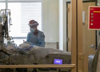 Почти каждый 500-й житель США умер от последствий заражения коронавирусом