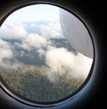 Все находившиеся на борту разбившегося в Хабаровском крае самолета Ан-26 погибли