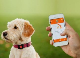 Мобильные приложения для ваших животных
