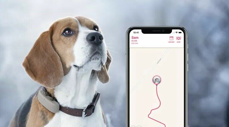 Мобильные приложения для ваших животных