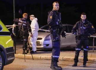 Неизвестный убил нескольких человек в норвежском городе Кунгсберг