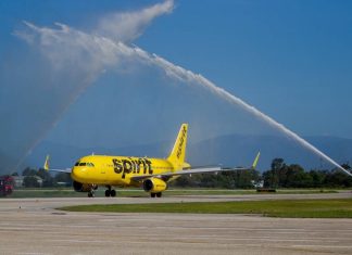 В США у самолета при взлете загорелся двигатель из-за попавшей в него птицы