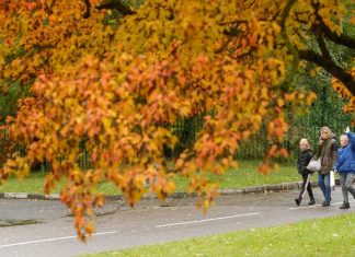 Вильфанд заявил, что в ближайшие дни европейскую часть РФ ожидают погодные аномалии