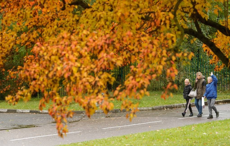 Вильфанд заявил, что в ближайшие дни европейскую часть РФ ожидают погодные аномалии