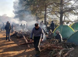 Двум большим группам нелегальных мигрантов удалось прорваться в Польшу из Белоруссии