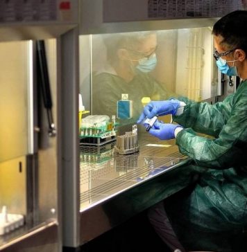 Pfizer проведет в России исследование нового лекарства от COVID-19