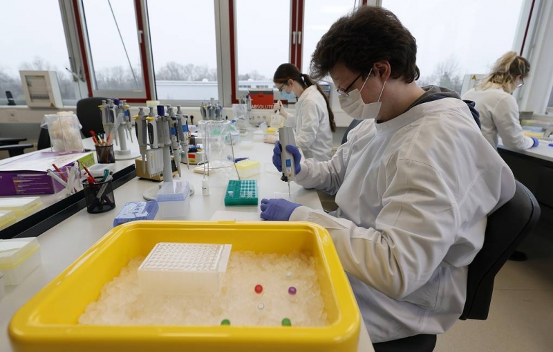 В Британии предупредили о сильно мутировавшем и потенциально опасном штамме коронавируса