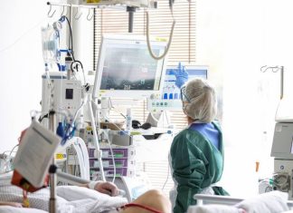 В Германии заявили о выявлении в стране штамма коронавируса «омикрон»