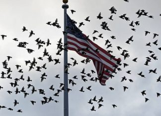 Bloomberg: в Белом доме сочли часть предложений России по безопасности «неприемлемыми»