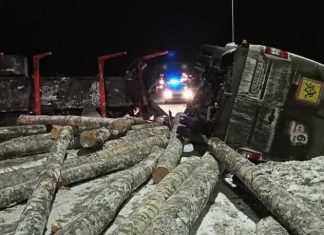 В ДТП с микроавтобусом и лесовозом под Ярославлем пострадали 13 человек