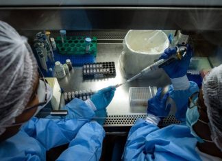 На юге Франции обнаружили новый штамм коронавируса