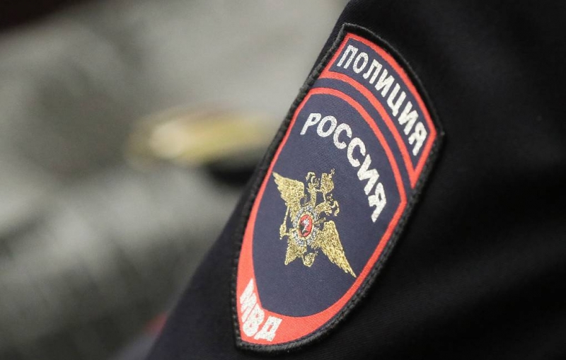 В Подмосковье неизвестные напали на вдову Градского и похитили 100 млн рублей