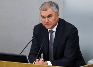 Володин: Дума сделает все, чтобы закон о пожизненном сроке для педофилов приняли в январе