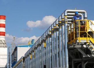 «Зеленые» не намерены вмешиваться в сертификацию оператора Nord Stream 2
