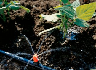Что такое капельный полив