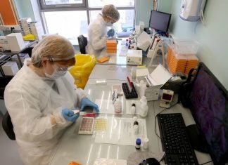 Исследования доказали наличие высокого уровня антител спустя год после «Спутника V»