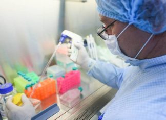 Кабмин выделил более 400 млн рублей на изучение генома штамма «омикрон»