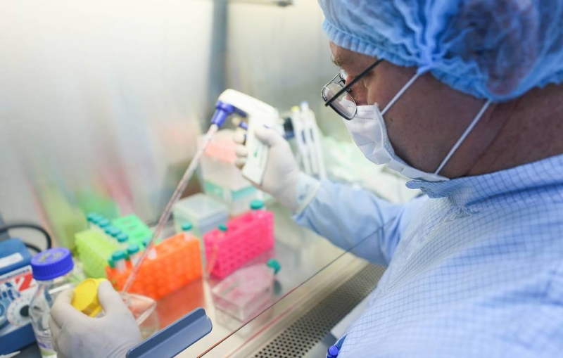 Кабмин выделил более 400 млн рублей на изучение генома штамма "омикрон"