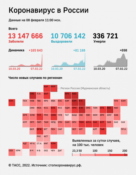 В России за сутки госпитализировали 20 185 человек с коронавирусом
