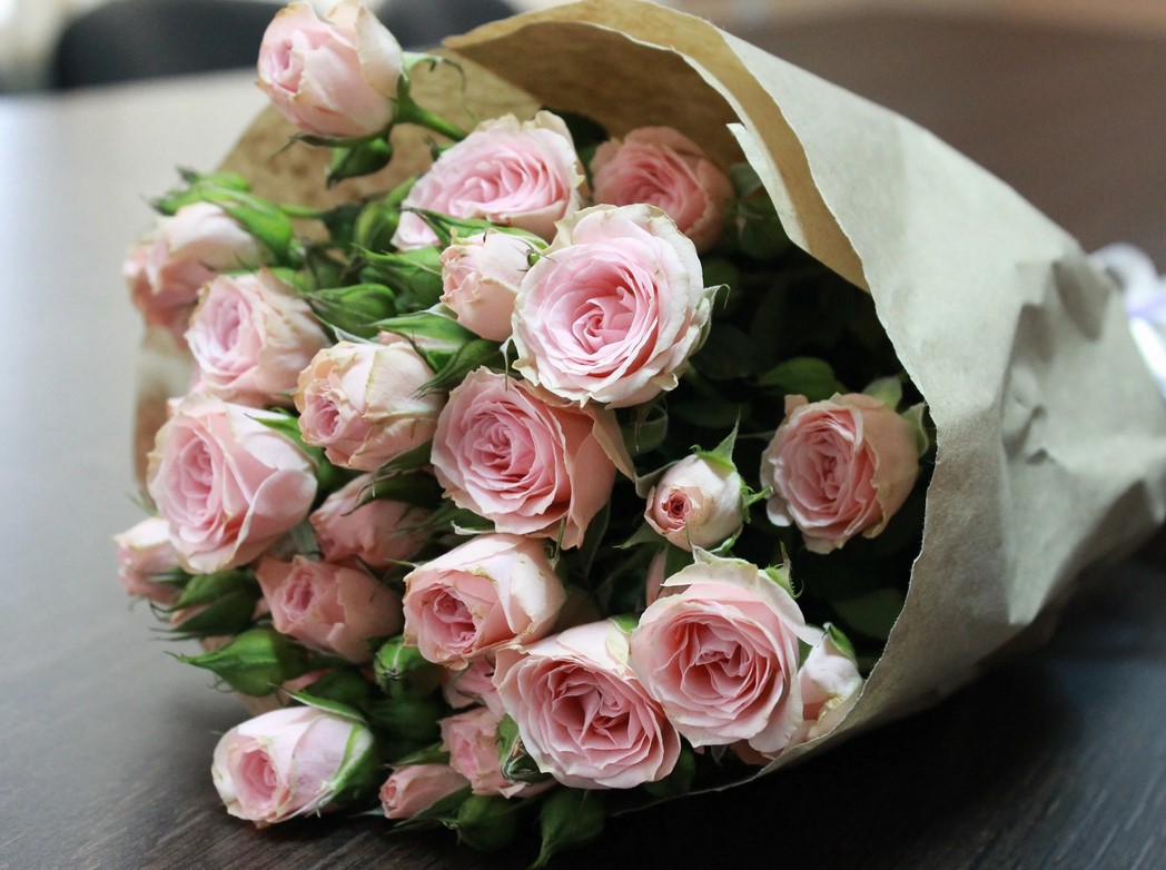 О чём могут рассказать розы