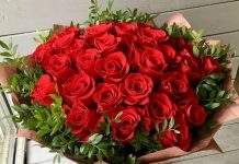 О чём могут рассказать розы