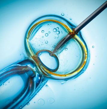 Что такое ЭКО?